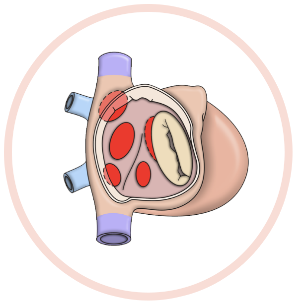 HOC-Image-Buttons.002-circle