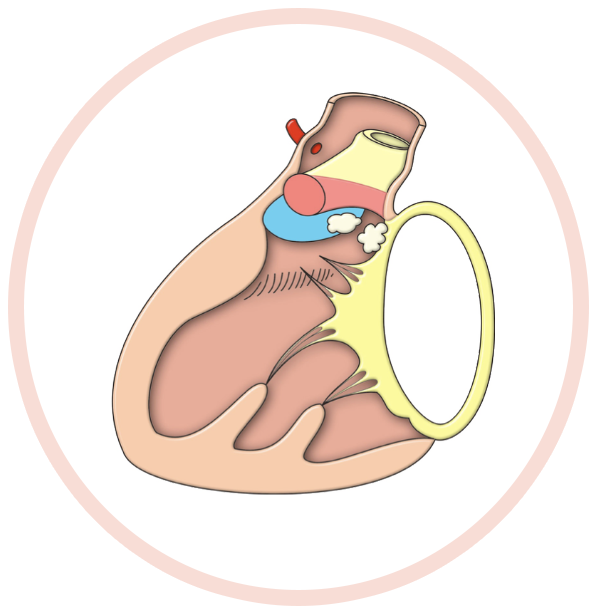 HOC-Image-Buttons.009-circle