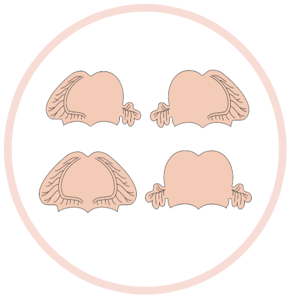 HOC-Image-Buttons.011-circle